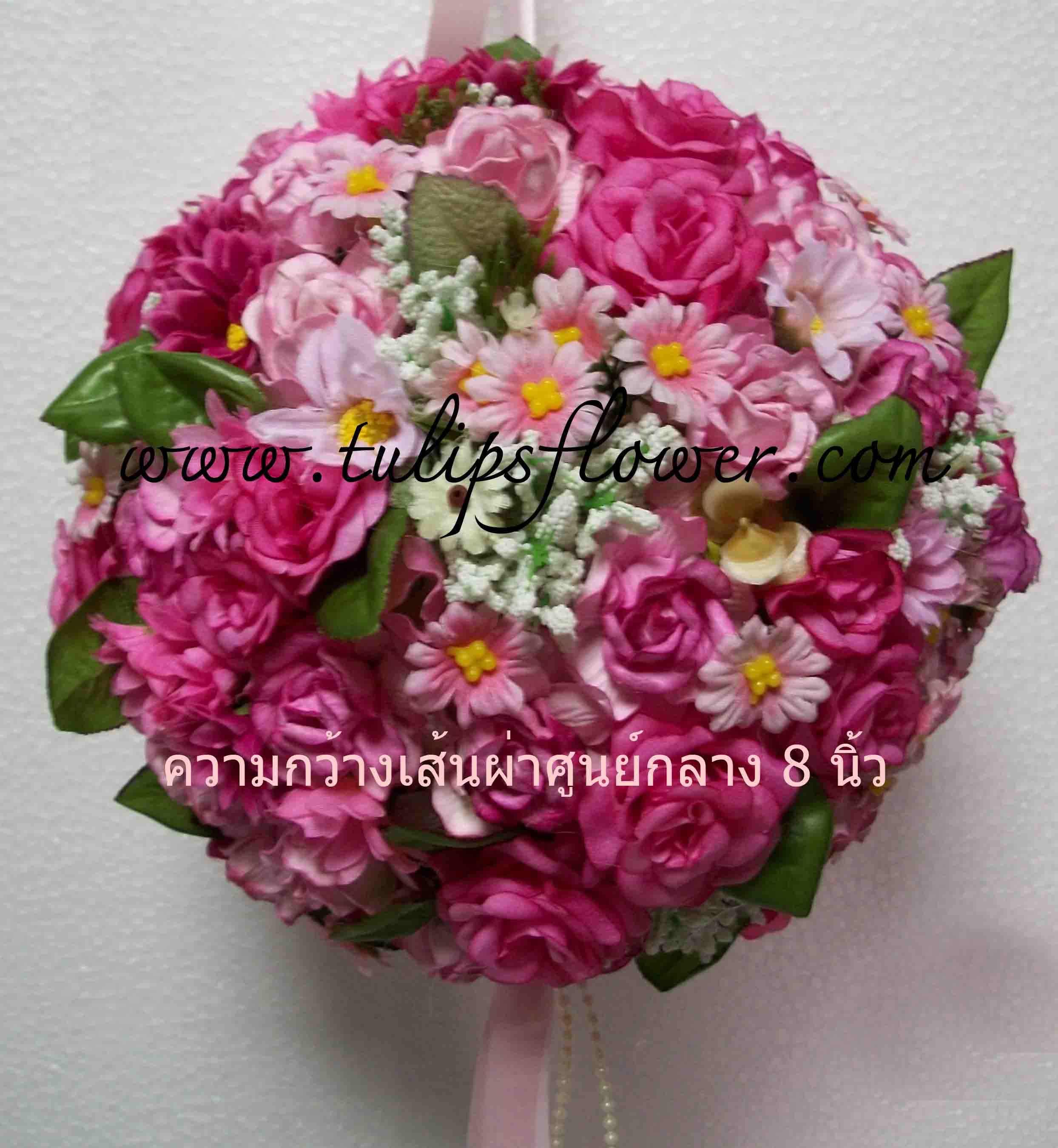 My Image 11