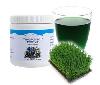 Chlorophyll Powder คลอโรฟิลล์ พาวเดอร์
